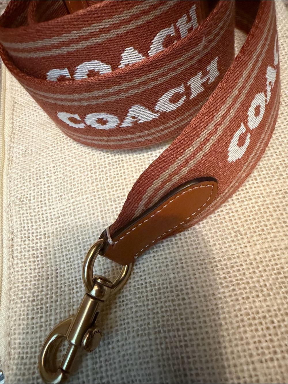 Coach Logo Webbing Strap in Rust and Cream with Gold Hardware